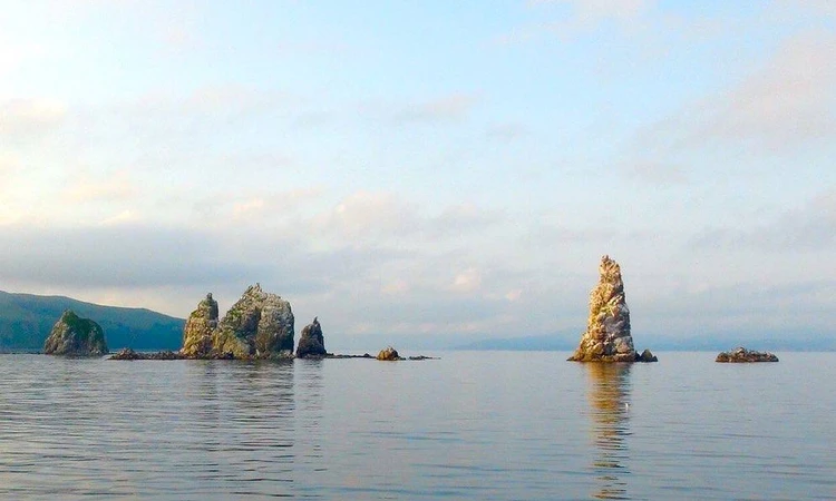 Детали морской прогулки