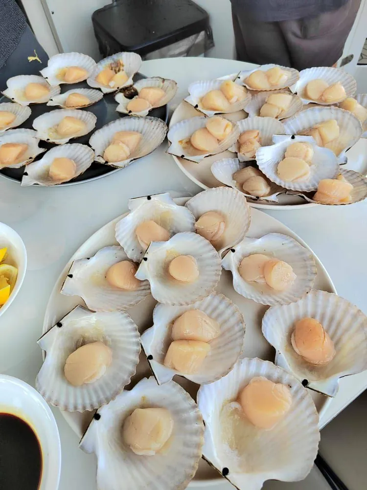 Мыс Шулепникова